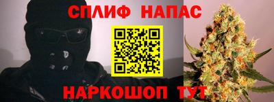 прущие грибы Пугачёв